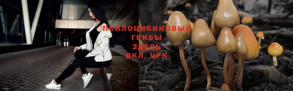 таблы Абинск