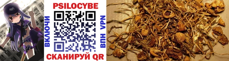 Псилоцибиновые грибы Psilocybine cubensis  цены наркотик  Правдинск 